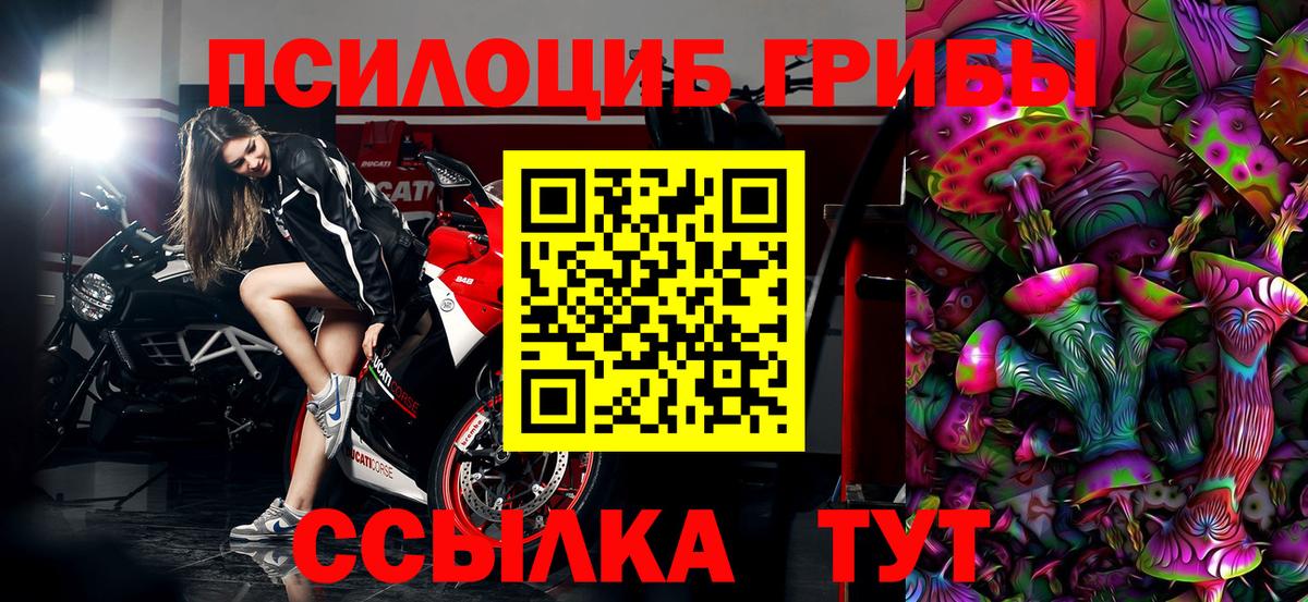Заинск  Галлюциногенные грибы мицелий  Вход с VPN  Псилоцибиновые грибы MAGIC MUSHROOMS 