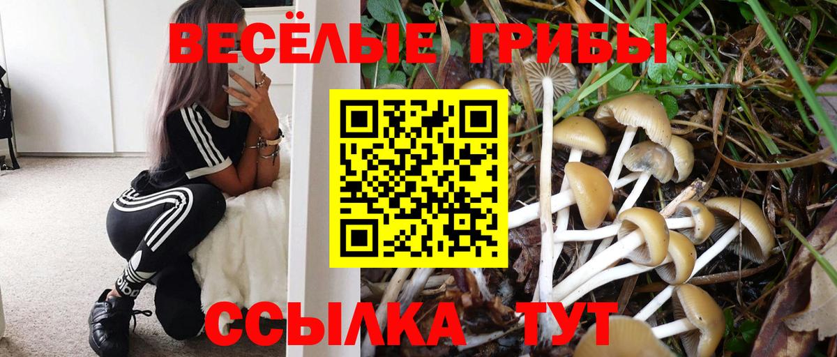 Галлюциногенные грибы GOLDEN TEACHER Заинск