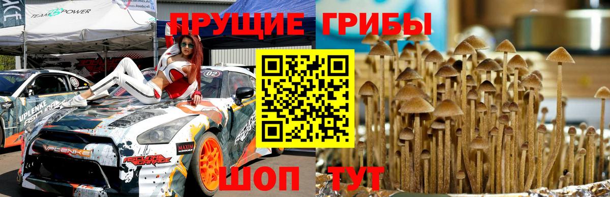 ЭКСТАЗИ Заинск